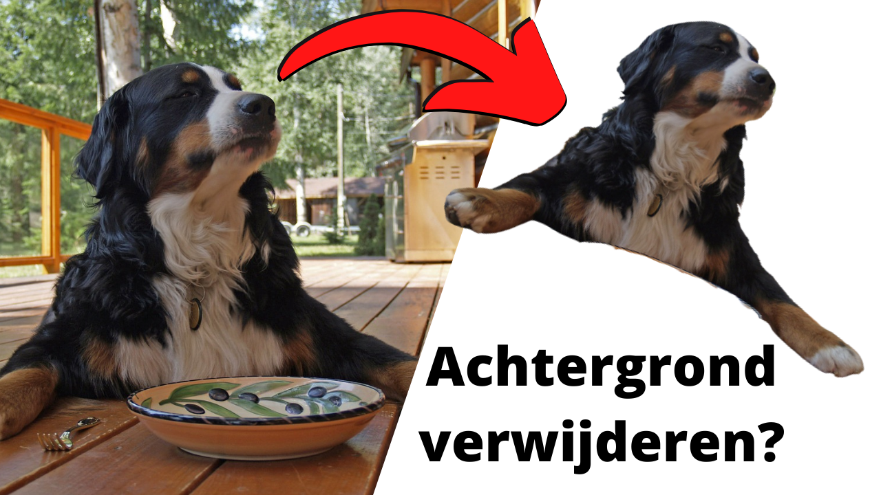Hoe verwijder je de achtergrond van een afbeelding? (simpel)
